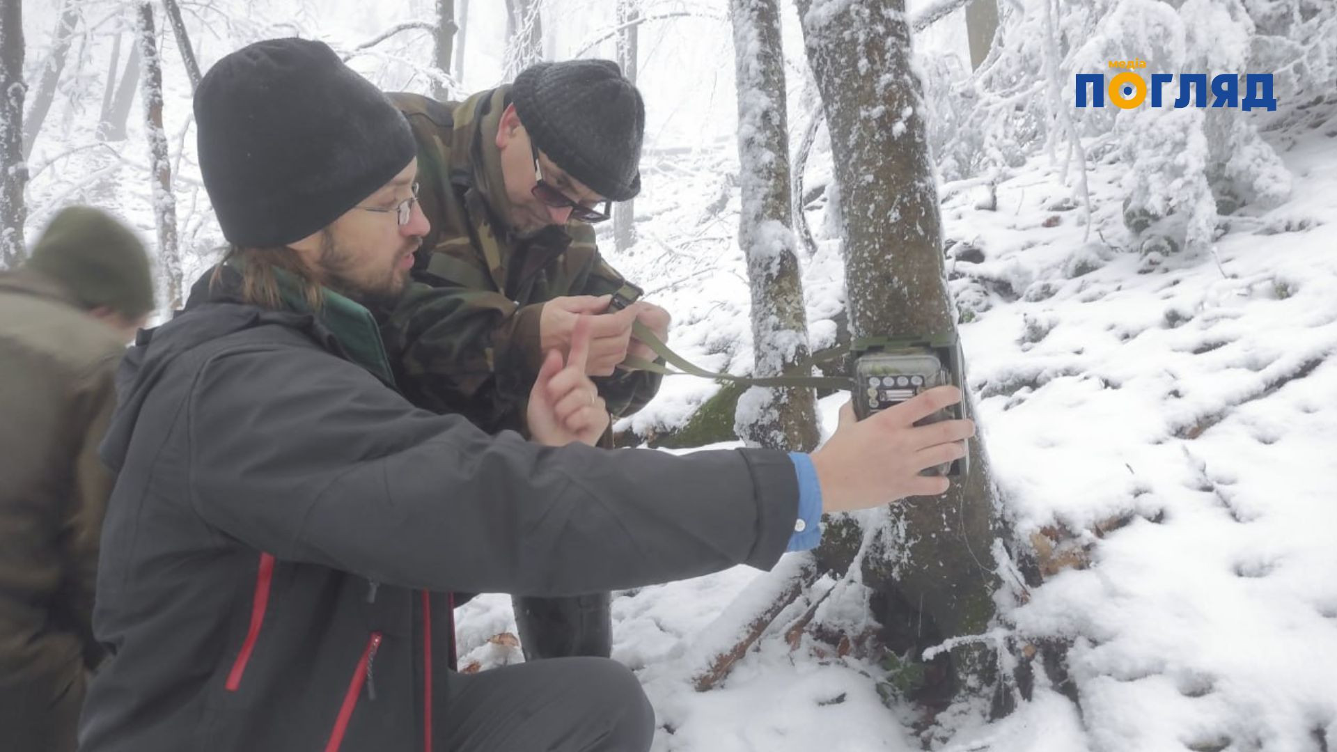 У нацпарку на Закарпатті виявили сім рідкісних рисей (ФОТО) - 1 - зображення
